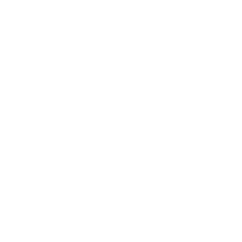 Modern Sales Performer